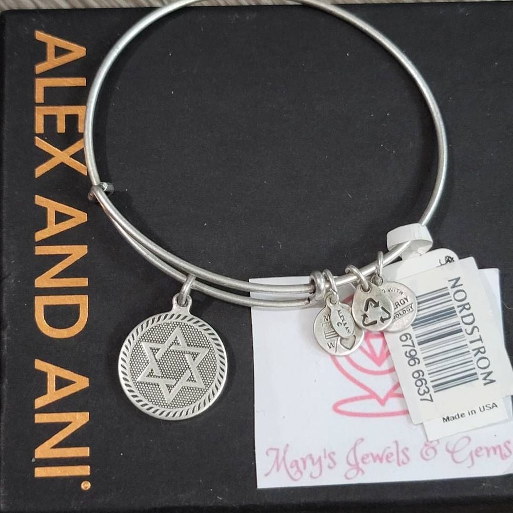 Alex and Ani David's Star charm bracelet